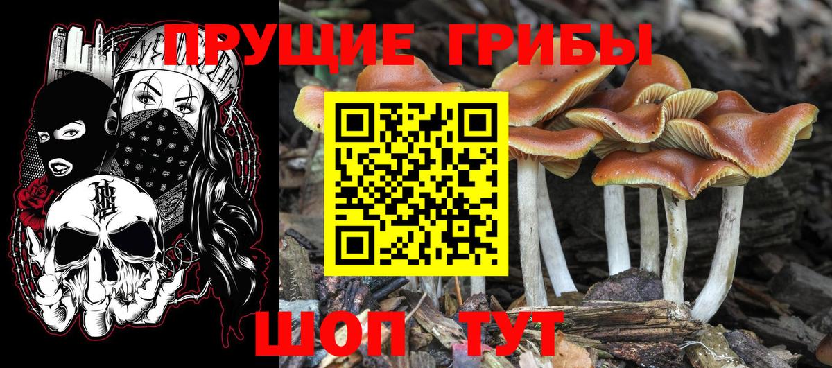 Псилоцибиновые грибы мухоморы Касимов